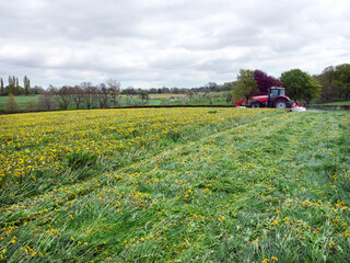 Sticker - spring landscape of south limburg and tractor mowing near margraten with flowers and blossoms