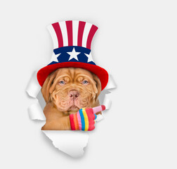 Poster - Serious Mastiff puppy wearing like Uncle Sam looking through a hole in paper and points away on empty space. isolated on white background