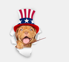 Poster - Happy Mastiff puppy wearing like Uncle Sam looking through a hole in paper and points away on empty space. isolated on white background