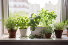 Grow Your Own Trend, People Growing Veggies And Herbs Indoors On A Sunny Windowsill. Growing Edibles, Grow Herbs And Veggies On A Budget. AI Generative