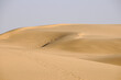 Sanddünen der weiten Wüste Thar bei Jaisalmer, Rajasthan Indien, Asien
