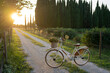 © Westend61 - Bicycle on footpath at sunset