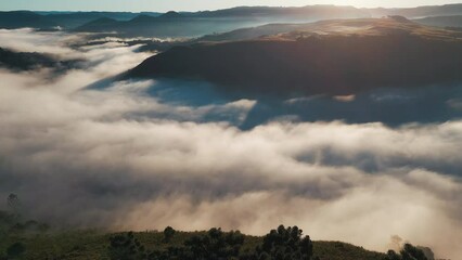 Wall Mural - Morning fog in the river's valley in Brazilian highlands, state of Santa Catarina, near the town of Bom Jardim da Serra