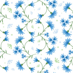 Wall Mural - Vector seamless floral summer pattern blue cornflowers 