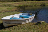 Fototapeta Miasto - A small white colored wooden row boat on the green grass next to a lake