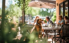 Dog Sitting In A Pet-friendly Cafe Created With Generative AI Technology