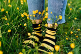 Close up female feet wearing jeans and striped black and yellow socks with flowers inside standing on the green grass of blooming meadow. Concept of bee protection, bloom season, art, creativity.