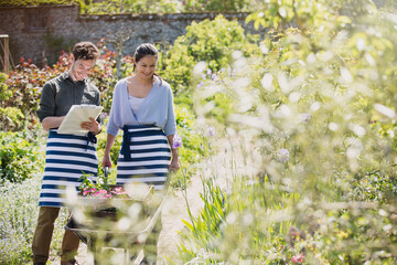 Plant nursery workers with clipboard and wheelbarrow in sunny garden