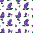 Seamless floral pattern lilac in abstract flat style on white background
