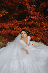 Wall Mural - Beautiful bride in autumn forest in long lace dress holding veil in autumn forest. Semi-long