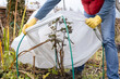 Winter Protection for garden, winter shelter for garden plants, shelter rhododendrons