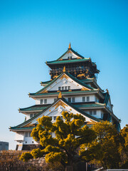 Wall Mural - Majestic Osaka Castle stands tall, surrounded by vibrant cherry blossoms. Its elegant architecture reflects centuries of Japanese history and culture. Osaka Castle, a grand symbol of Japan.