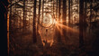 a dream catcher in the forest against the light. Generative AI
