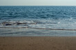Sea waves on a sand beach