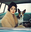 woman_with_her_dog_in_a_car_sitting_in_the_passenger