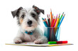 © Delphotostock - Back to school, cute dog drawing with paper and coloful pencils, isolated on white background