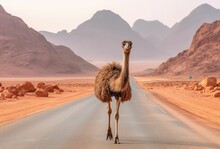 An Ostrich Is Walking On The Road, Generative Ai