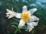 Fototapeta Kwiaty - White lilies in the garden