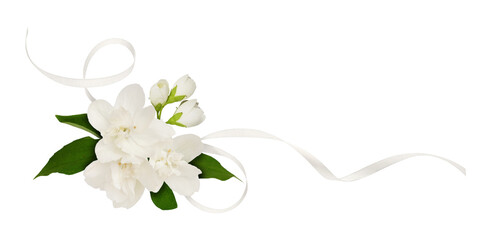 Wall Mural - jasmine flowers and satin ribbon in a corner floral arrangement isolated on white or transparent bac