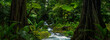 Tropical rainforest with river stream
