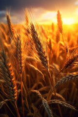 Poster -  A close-up photograph of wheat ears against a sunset sky, capturing the warm and golden tones of the grain.  Generative AI technology.