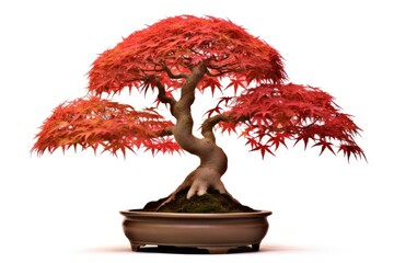 japanese maple bonsai tree. generative ai