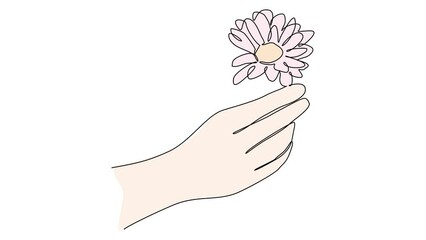 Wall Mural - Animated self drawing of single continuous line draw for a hand holding a beautiful flower on a white background. flower design in simple linear style. Plant design concept. full length animation