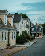 Poster - Houses on a street in Stonington, Connecticut