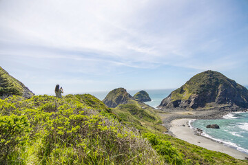 Wall Mural - view from the top of the hill