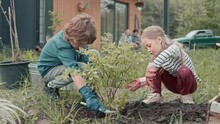 Two Little Children With Gloves Cultivating Ground After Planting Bush Or Tree. Obedient Kids Speaking While Working In Garden. In Blurred Background Their Parents Resting And Looking At Them.
