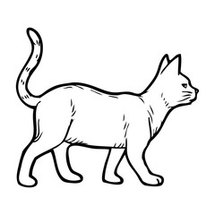  cat sketch vector illustration