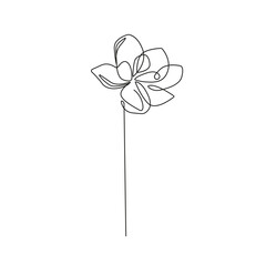 Wall Mural - One Line Vector Drawing of Flower. Botanical Modern Single Line Art, Aesthetic Contour. Perfect for Home Decor, Wall Art Posters, or t-shirt Print, Mobile Case. Continuous Line Drawing 