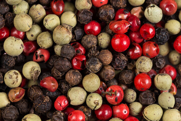 Wall Mural - Colored Peppers Mix