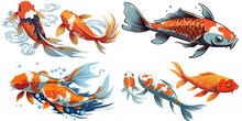 Koi Carp Fishes Vector Illustration. Japanese Koi Fish Isolated On White Background. Colored Carp Fish, Japanese Goldfish Illustration
