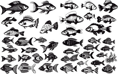 Wall Mural - Sea fish, black and white design, vector illustration, SVG, great for t-shirts, mugs, birthday cards, wall stickers, stickers, iron-on, scrapbooking,