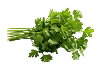 Wall Mural - Isolated Coriander on Transparent Background, AI