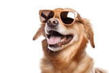 Fototapeta Zwierzęta - Happy Dog in Sunglasses and Hat on Transparent Background Illustration. AI