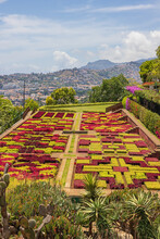 A Terrace With Flowers In The Botanical Garden With Funchal In The Background