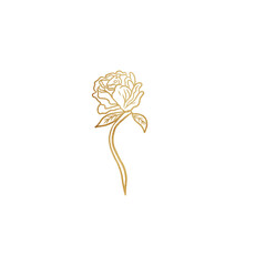 Wall Mural - Golden Rose Drawing