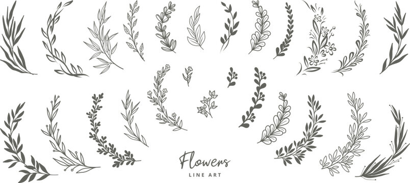 Hand drawn botanical floral elements. Flowers, branches, leaves, plants, herbs. Vector illustration for label, logo, branding business identity, wedding invitation, wreath, frame  