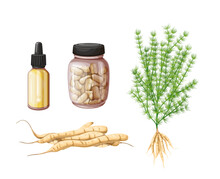 Shatavari Set Vector Illustration. Cartoon Isolated Ayurvedic Asparagus Racemosus Plant And Roots, Shatavari Oil In Bottle And Herbal Remedy Of Ayurveda Medicine For Healing Female Health Disorders