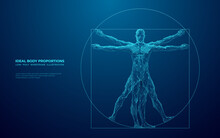 Digital Vitruvian Human. Da Vinci Anatomy Body Is Made Of Connected Dots, Lines And Triangles. Abstract Polygonal Wireframe Vector Illustration On Technological Blue Background.