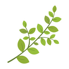 Wall Mural - A single isolated twig with leaves on a white background