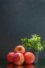 Vertical view of stacked fresh red apples and beautiful flower in pot on dark wave background