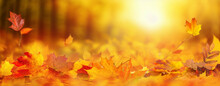 Colorful Universal Natural Panoramic Autumn Background For Design With Orange Leaves And Blurred Background.