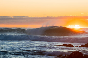 Wall Mural - Beautiful blue wave in the ocean at sunrise time.