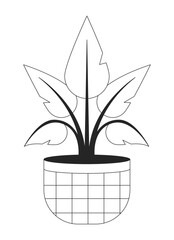 Fototapete - Houseplant in checkered pot flat monochrome isolated vector object. Interior house plant. Editable black and white line art drawing. Simple outline spot illustration for web graphic design