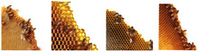 Honeycombs With Honeybees To Use In Corners ,on A Transparent Background, Generative AI
