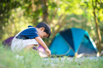 happy kindergarten asian boy camping in forest camp site