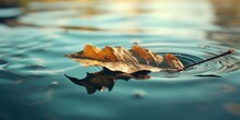 AI Generated. AI Generative. Nature Outdoor Wild Leaf Floating On Blue Water Sea Surface. Adventure Plant Fall Vibe. Graphic Art